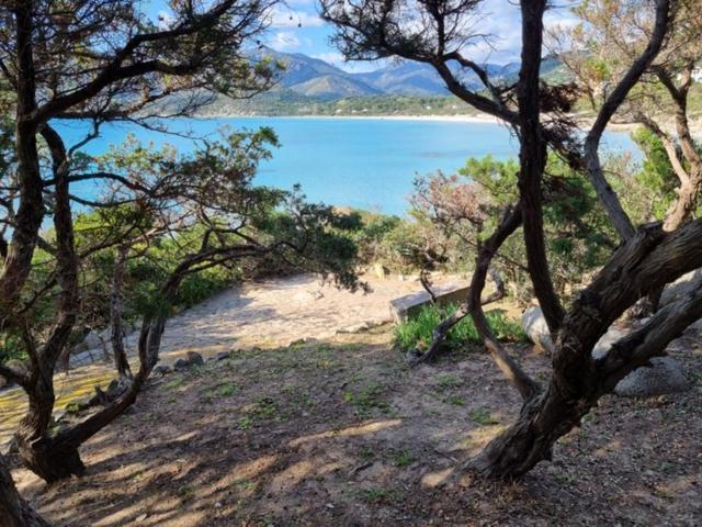 Sul Mare Sardegna Villa Mercedes 维拉西米乌斯 外观 照片